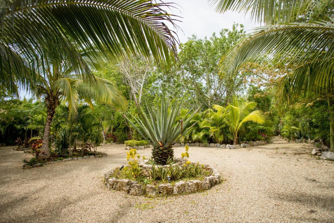Aldea Jo-Yah Villa Tulum Dış mekan fotoğraf